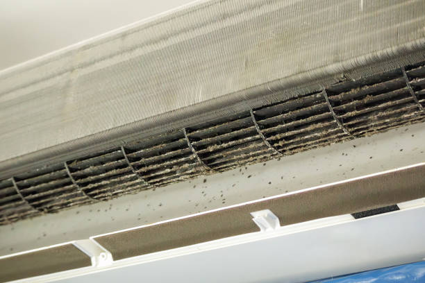 Best Residential Air Duct Cleaning  in Swoyersville, PA